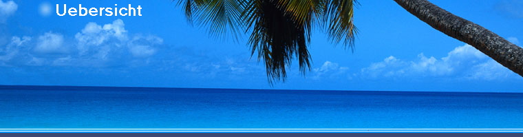 Uebersicht